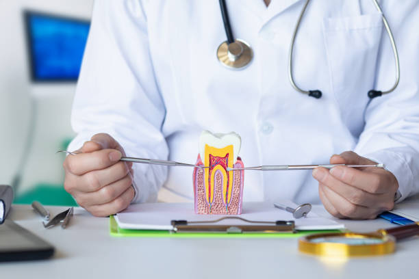 Best Emergency Dental Care for Broken or Chipped Teeth in Rogersville, TN